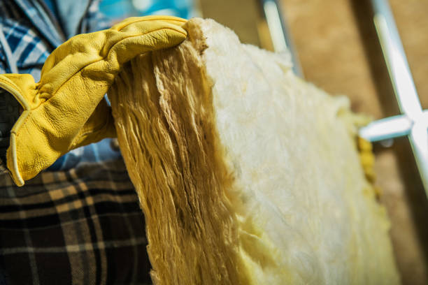 Best Geographic-Specific Insulation Services in Turlock, CA